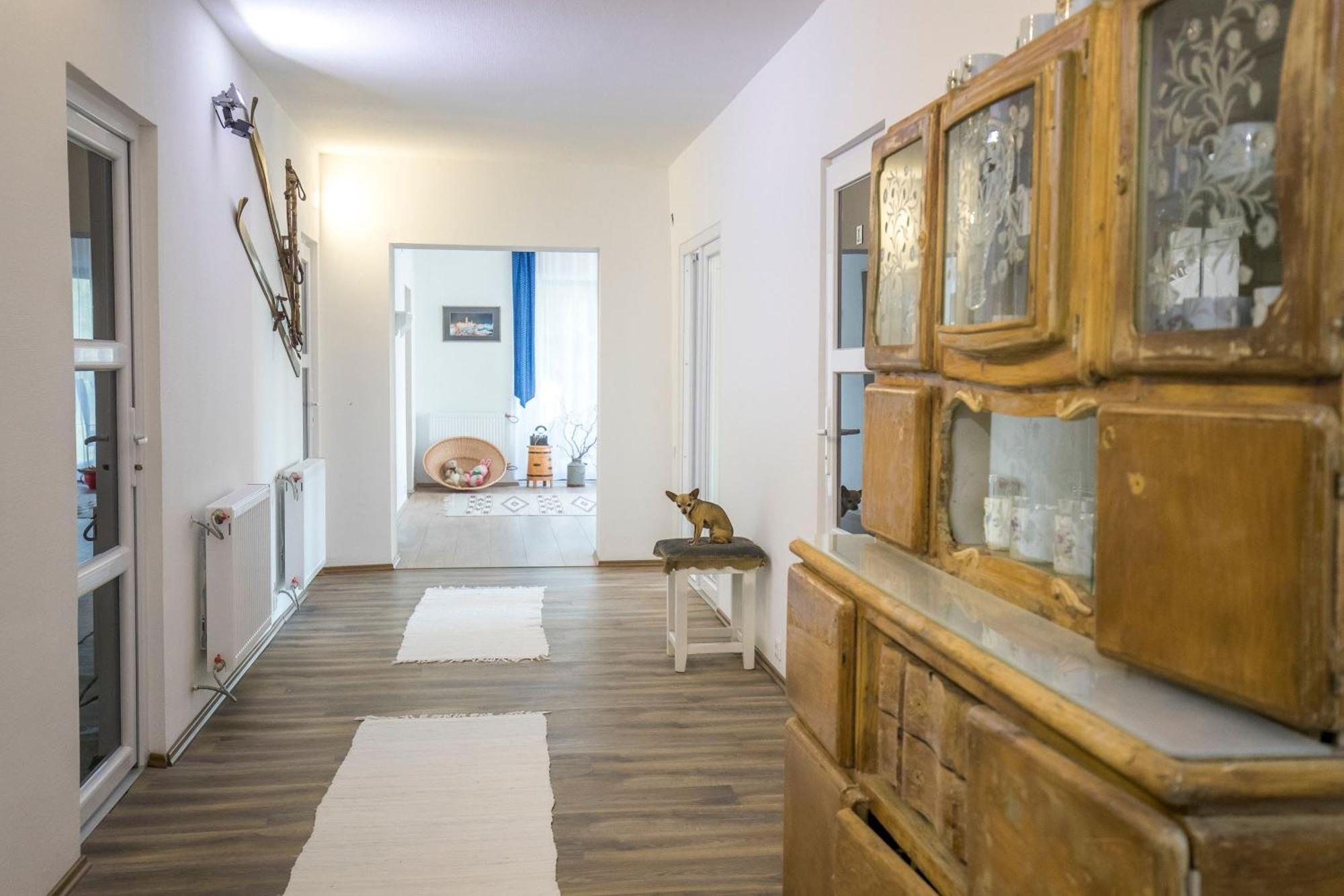 Villa Vamus Vendeg- Es Rendezvenyhaz Vamosszabadi ภายนอก รูปภาพ
